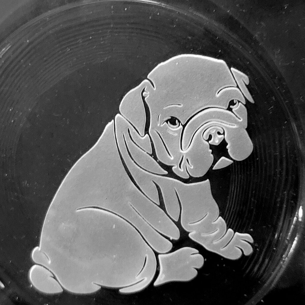 Etched Personal Valet Bull Dog Pup