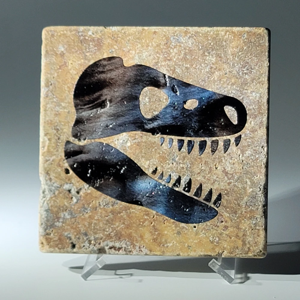 Travertine Stone Coaster - Dinosaur 02