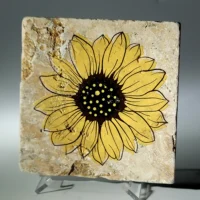 sunflower 05 01