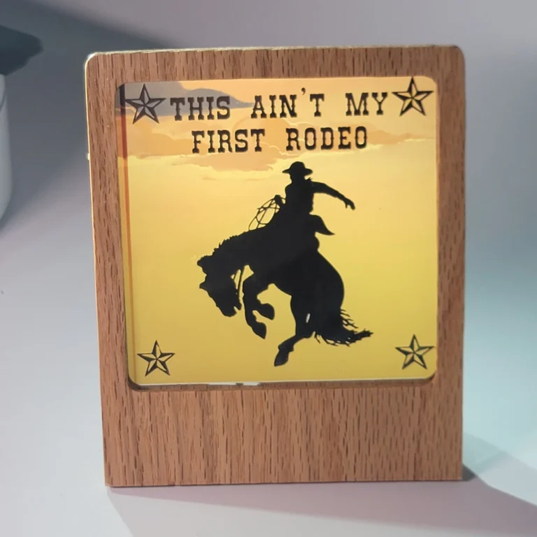 This Ain't My First Rodeo