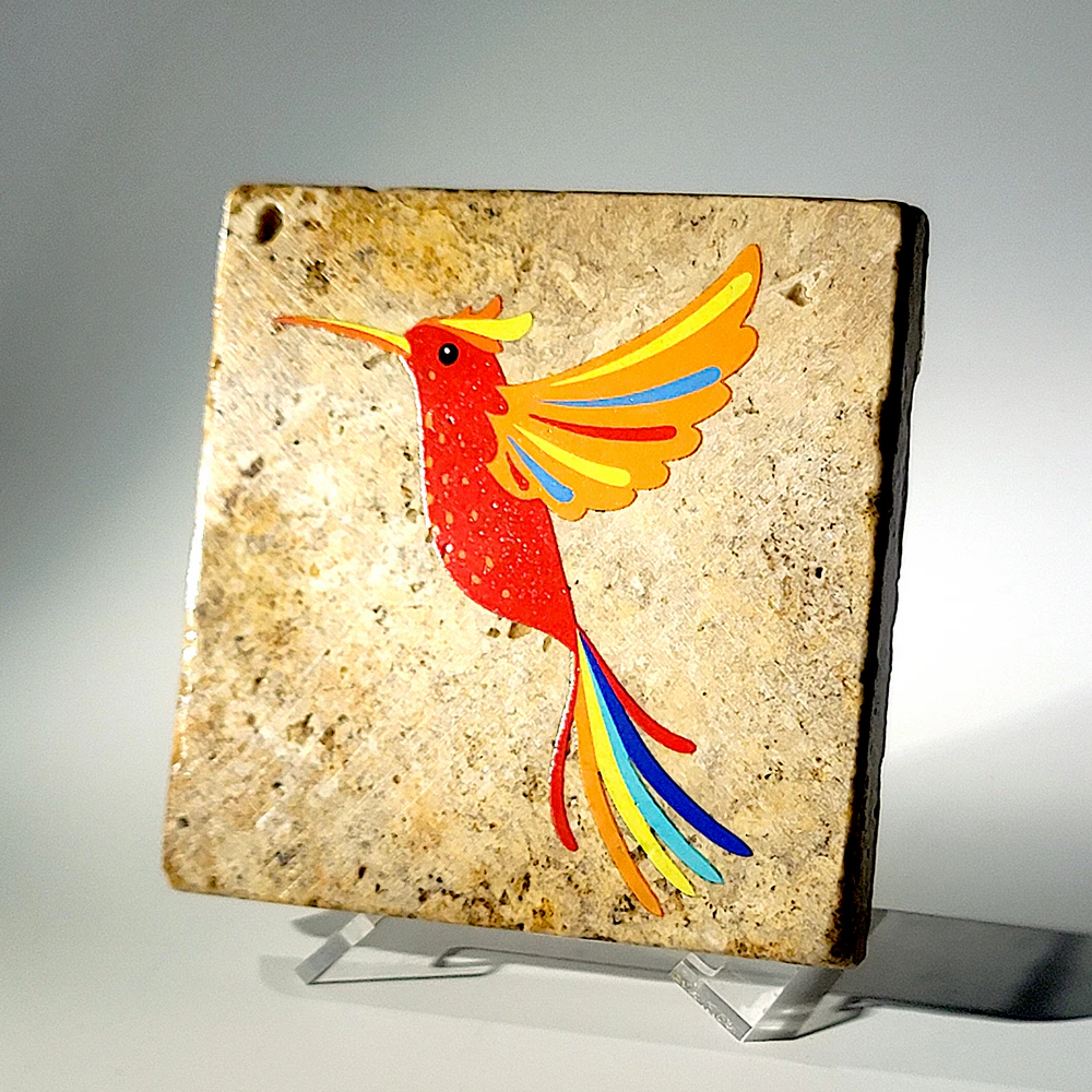 Cino de Mayo Bird 01