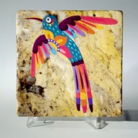 Mexican hummingbird