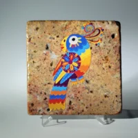Cino de Mayo Parrot